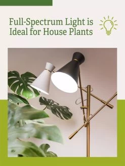Adjustable 3-Arm Grow Lamp -Green Haven Shop 3 Arm 1