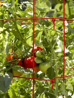 Tomato Cages, Set Of 4 -Green Haven Shop 34182 592