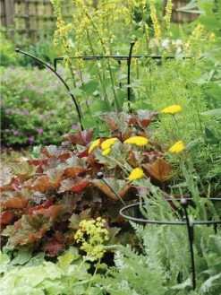 Essex Plant Supports 9 Essex Plant Supports -Green Haven Shop 37423 280 tif