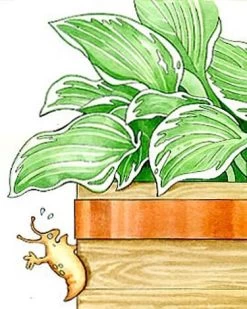 Copper Slug Tape -Green Haven Shop 38 994 b