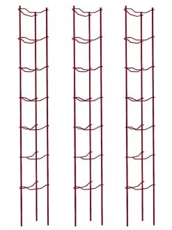 Tomato Ladders, Set Of 3 -Green Haven Shop 38185 002E psd