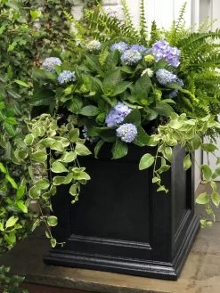 Fairfield Self-Watering Square Planter, 20” X 20” -Green Haven Shop 39 618 205V tif