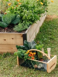 Garden Hods 8 Garden Hods -Green Haven Shop 39 761 572 tif