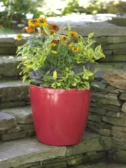 Viva Round Self-Watering Rolling Planter, 17.25” Diameter -Green Haven Shop 39326 046 tif