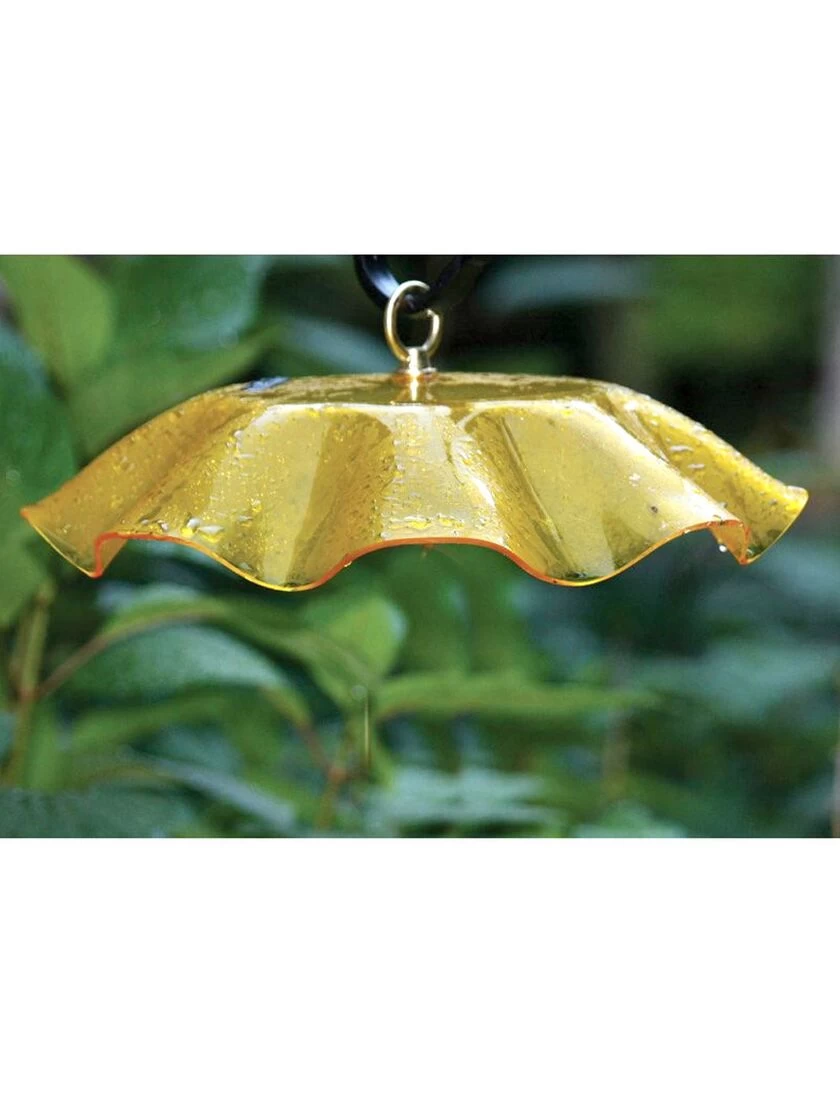 Birds Choice Weather Guard Feeder Cover 2 Birds Choice Weather Guard Feeder Cover - Image 2