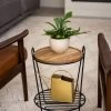 Hairpin Plant Stand With Shelf