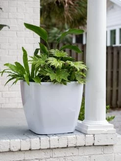 Viva Square Self-Watering Rolling Planter, 20" Diameter, Set Of 2 -Green Haven Shop 3 4 crop 8612930 0033 tif