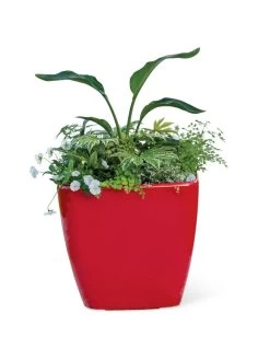 Viva Square Self-Watering Rolling Planter, 20" Diameter, Set Of 2 -Green Haven Shop 3 4 crop 8612930 0037 tif