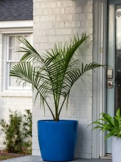 Viva Round Self-Watering Rolling Planter, 20" Diameter, Set Of 2 -Green Haven Shop 3 4 crop 8612933 0024 tif