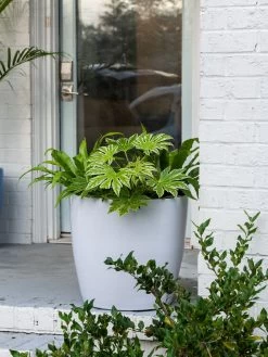 Viva Round Self-Watering Rolling Planter, 20" Diameter, Set Of 2 -Green Haven Shop 3 4 crop 8612933 0025 tif