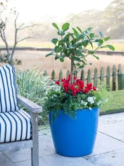 Viva Round Self-Watering Rolling Planter, 20" Diameter, Set Of 2 -Green Haven Shop 3 4 crop 8612933 5312 tif