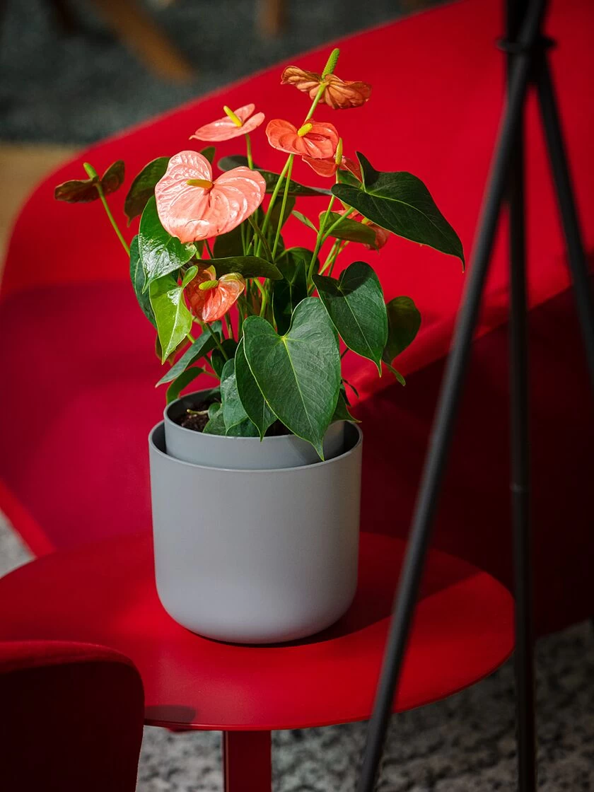 Tolita Recycled Self-Watering Flower Pot, 8" Diameter 1 Tolita Recycled Self-Watering Flower Pot, 8" Diameter