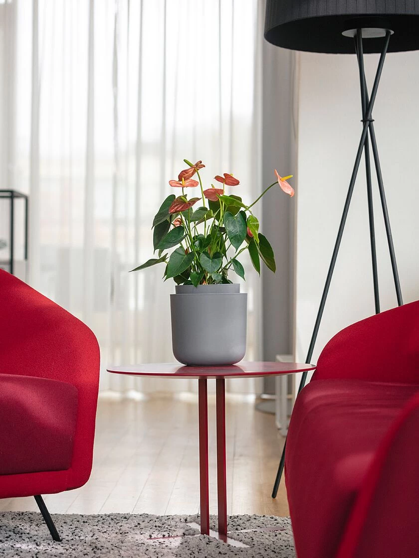 Tolita Recycled Self-Watering Flower Pot, 8" Diameter 2 Tolita Recycled Self-Watering Flower Pot, 8" Diameter - Image 2