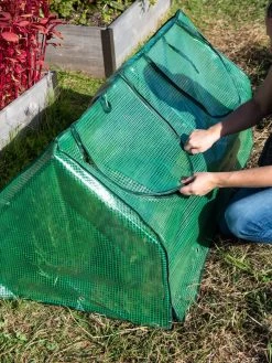 Multi Cloche -Green Haven Shop 3 4 crop 8613213 0250