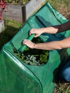 Multi Cloche -Green Haven Shop 3 4 crop 8613213 0265