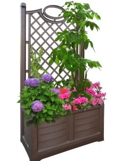 Separate Flower Box With Trellis -Green Haven Shop 3 4 crop 8613626 04V