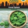 Corvair Spinach Organic Seeds
