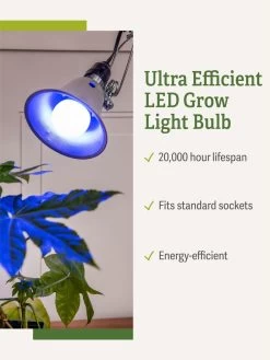 Miracle LED® Grow Light Bulb, Blue -Green Haven Shop 3 4 crop Miracle Bulb Blue 1