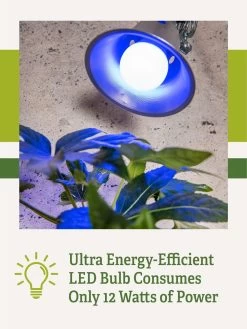 Miracle LED® Grow Light Bulb, Blue -Green Haven Shop 3 4 crop Miracle Bulb Blue 2
