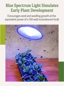 Miracle LED® Grow Light Bulb, Blue -Green Haven Shop 3 4 crop Miracle Bulb Blue 3