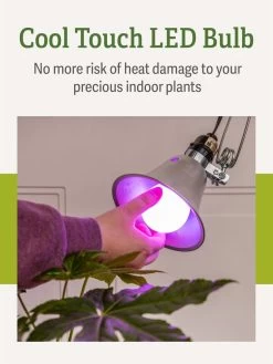 Miracle LED® Grow Light Bulb, Red And Blue -Green Haven Shop 3 4 crop Miracle Bulb RB 4