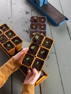 Gardener's Best® XL Seed Starting Kit -Green Haven Shop 40 135 6186