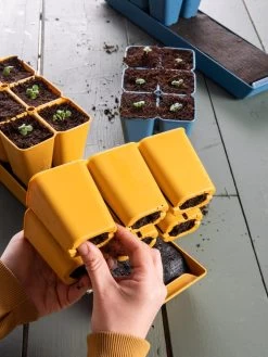 Gardener's Best® XL Seed Starting Kit -Green Haven Shop 40 135 6188