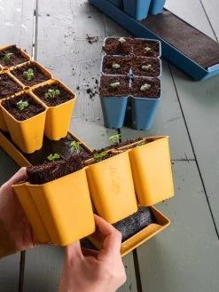 Coco Coir Seed Starting Mix -Green Haven Shop 40 135 6192