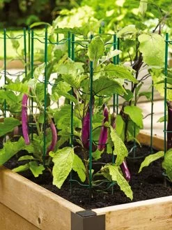 Pepper And Eggplant Stakes, Set Of 3 5 Pepper And Eggplant Stakes, Set Of 3 -Green Haven Shop 40308 2116 tif