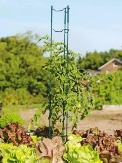 Stacking Tomato Ladders, Set Of 6 7 Stacking Tomato Ladders, Set Of 6 -Green Haven Shop 40309 100 tif