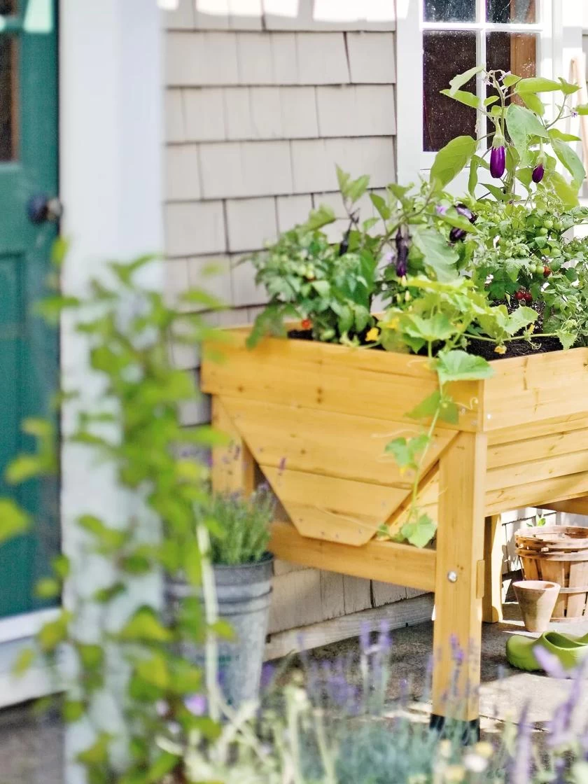 Compact VegTrug® Patio Garden 2 Compact VegTrug® Patio Garden - Image 2