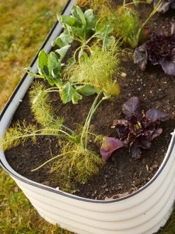 Birdies™ Modular Metal Raised Bed -Green Haven Shop 8586930 6019 tif