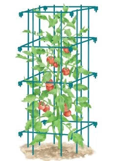 Tomato Cage, Single 6 Tomato Cage, Single -Green Haven Shop 8587039 TomatoCage BLUE tif