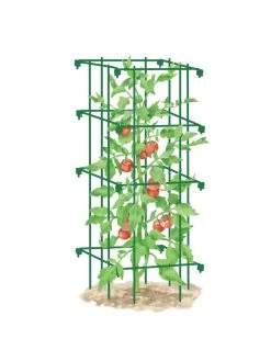 Tomato Cage, Single 7 Tomato Cage, Single -Green Haven Shop 8587039 TomatoCage GRN tif