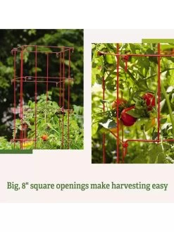 Tomato Cages, Set Of 4 -Green Haven Shop 8587040 2