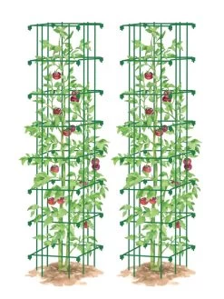 Tomato Towers, Set Of 2 -Green Haven Shop 8587041 0006 GRN tif