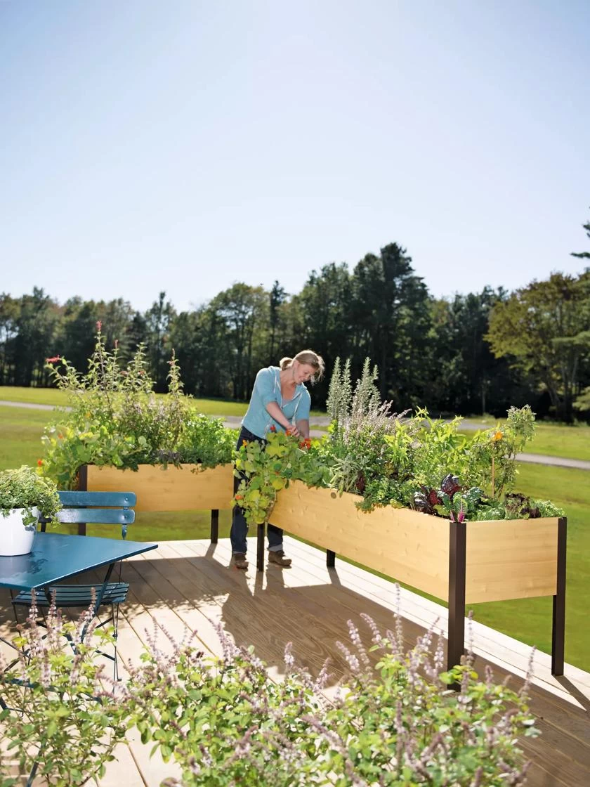 Elevated Planter Box, 2' X 8' 6 Elevated Planter Box, 2' X 8' - Image 6