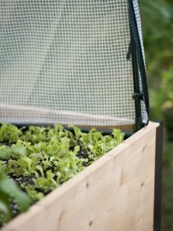 Protection Frame & Covers, 2' X 4' -Green Haven Shop 8587631 265 tif 1