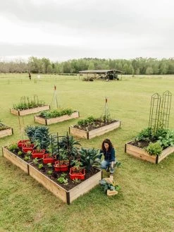 Deep Root Raised Beds, 14" Deep 4' Wide 10 Deep Root Raised Beds, 14" Deep 4' Wide -Green Haven Shop 8587813 505 tif