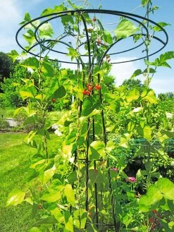 Essex Tuteur, 78" -Green Haven Shop 8587861 100 tif