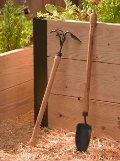 New Release -Green Haven Shop 8587960 147 tif