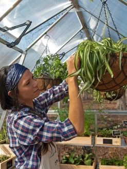 Canopia® By Palram Balance Greenhouse, 8' X 12' -Green Haven Shop 8588023 07V jpg