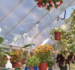 Canopia® By Palram Balance Greenhouse, 8' X 12' -Green Haven Shop 8588023 20V jpg