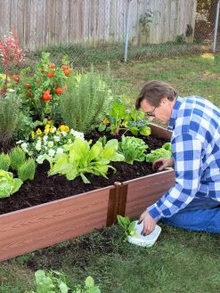 Composite Raised Bed With 1" Boards, 11" -Green Haven Shop 8588274 02V tif