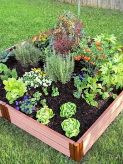 Classic Sienna Composite Raised Bed, 11" High With 2" Board -Green Haven Shop 8588280 05V tif