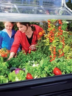 Canopia® By Palram Plant Inn™ Raised Bed Greenhouse, 4' X 4' -Green Haven Shop 8588308 03V tif