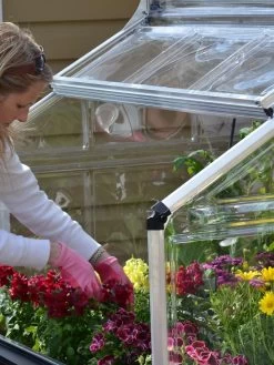 Canopia® By Palram Plant Inn™ Raised Bed Greenhouse, 4' X 4' -Green Haven Shop 8588308 04V tif