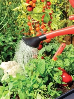 Canopia® By Palram Plant Inn™ Raised Bed Greenhouse, 4' X 4' -Green Haven Shop 8588308 06V tif