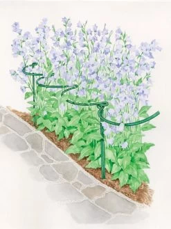 Tidy Path Supports -Green Haven Shop 8588403 003 1