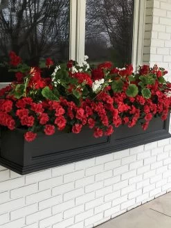 Fairfield Self-Watering Window Box, 5’ -Green Haven Shop 8588938 100V tif